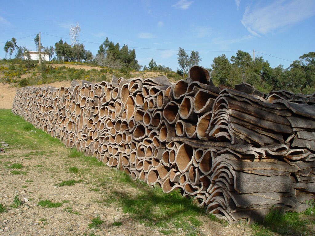 Quercus Suber Bark - sustainable alternative to leather