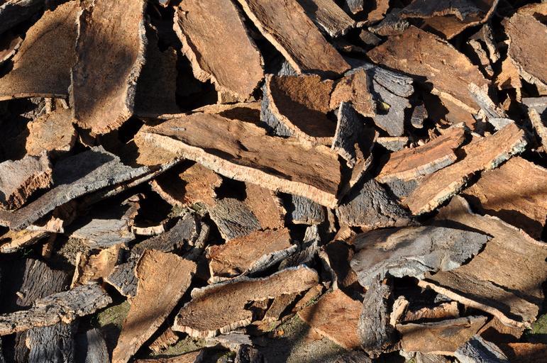 cork bark - eco-friendly cork tree bark